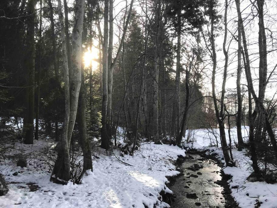 Au Coeur Des Bois