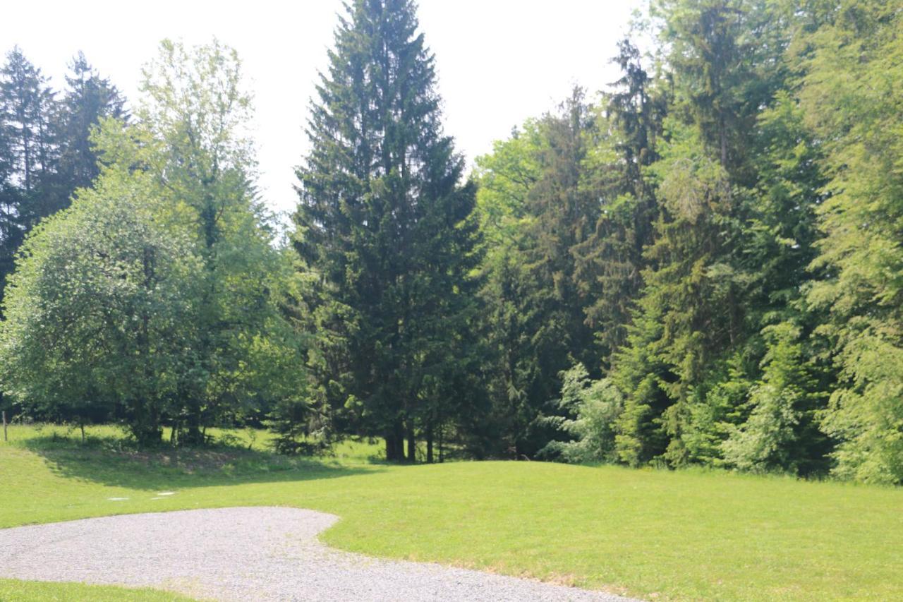 Au Coeur Des Bois