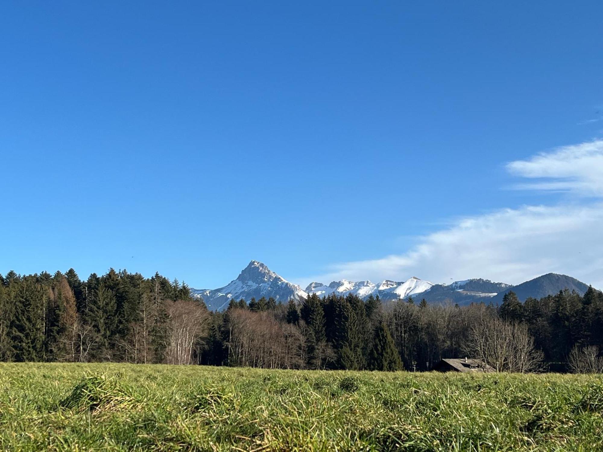 Au Coeur Des Bois Larringes